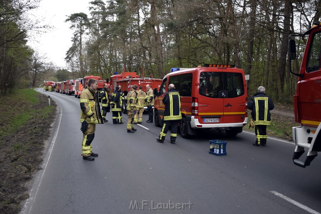 Waldbrand Wahner Heide Troisdorf Eisenweg P259.JPG - Miklos Laubert